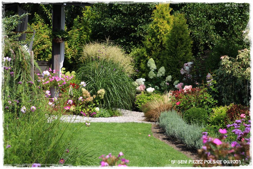 Ogród dla oszczędnych 41 Ogród dla oszczędnych 41