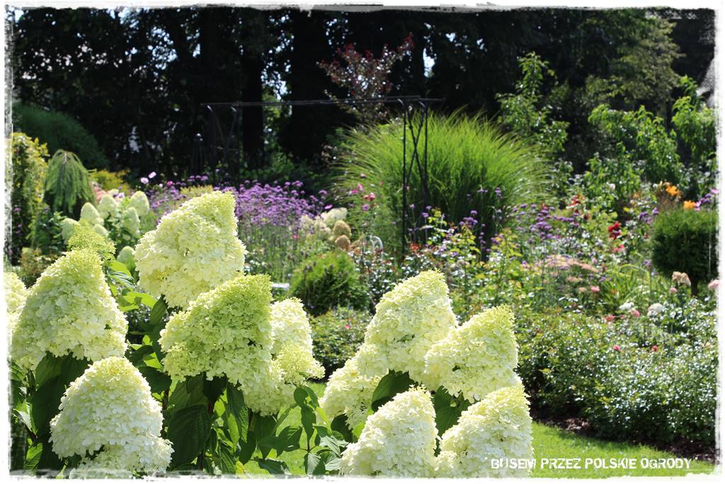 Ogród dla oszczędnych 42 Ogród dla oszczędnych 42