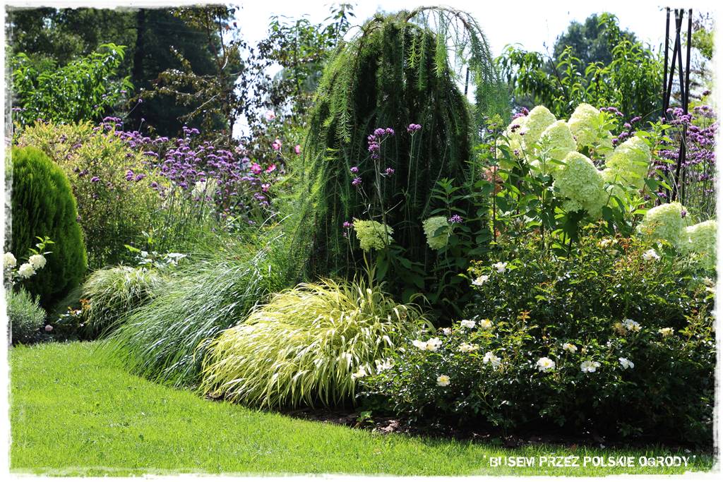 Ogród dla oszczędnych 45 Ogród dla oszczędnych 45