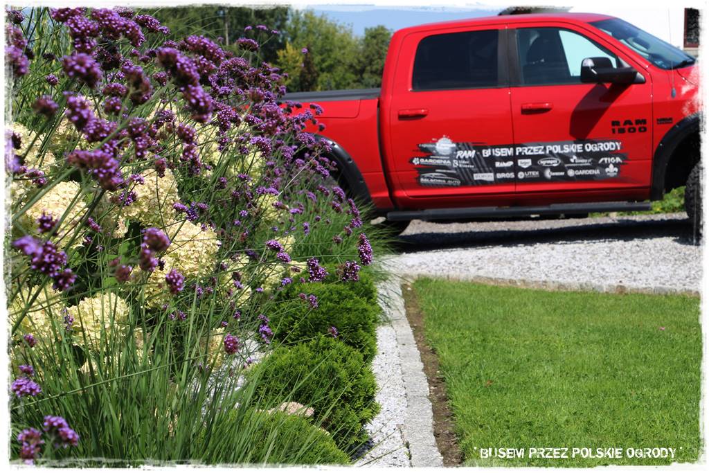 Ogród dla oszczędnych 46 Ogród dla oszczędnych 46