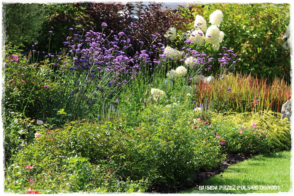 Ogród dla oszczędnych 47 Ogród dla oszczędnych 47