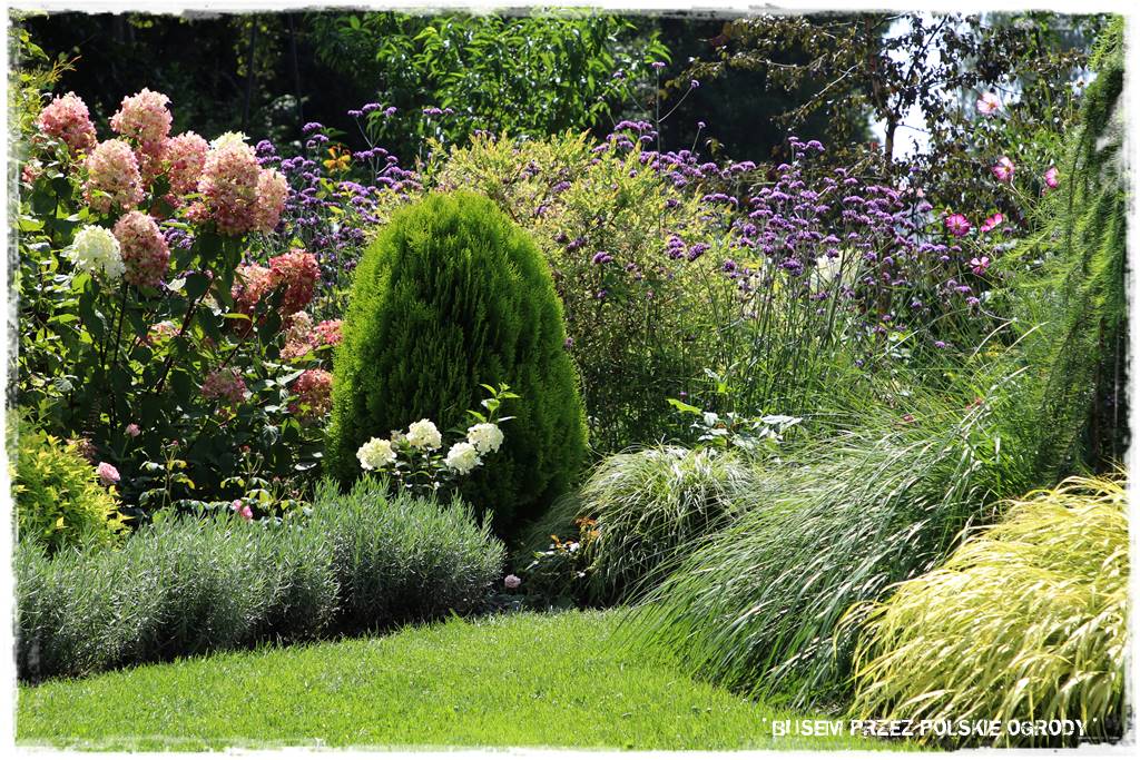 Ogród dla oszczędnych 48 Ogród dla oszczędnych 48