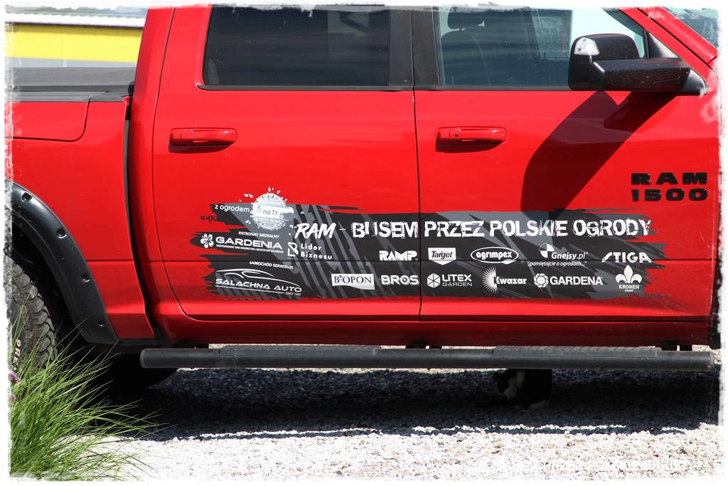 Ogród dla oszczędnych 49