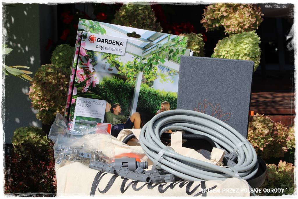 Ogród dla oszczędnych 50