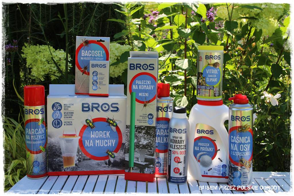 Ogród dla oszczędnych 52