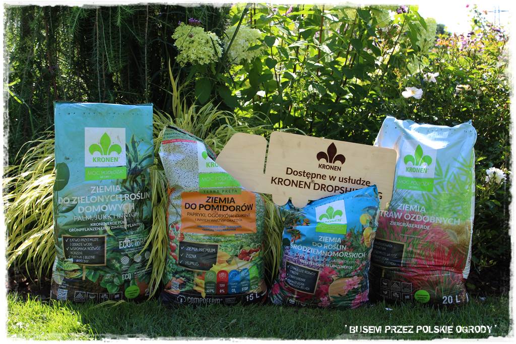 Ogród dla oszczędnych 55