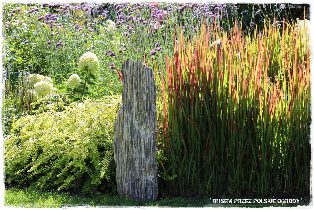 Ogród dla oszczędnych 57