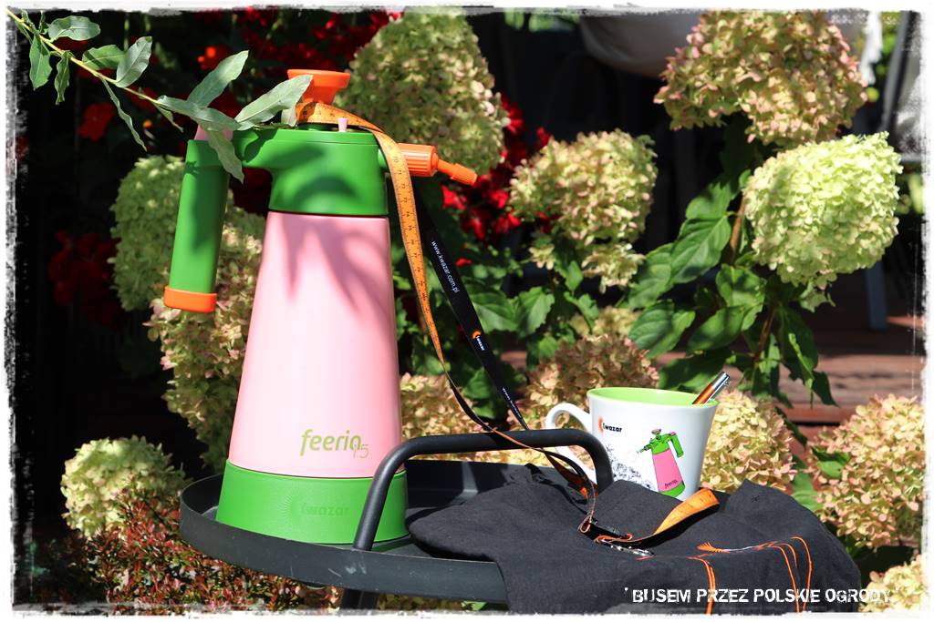 Ogród dla oszczędnych 59