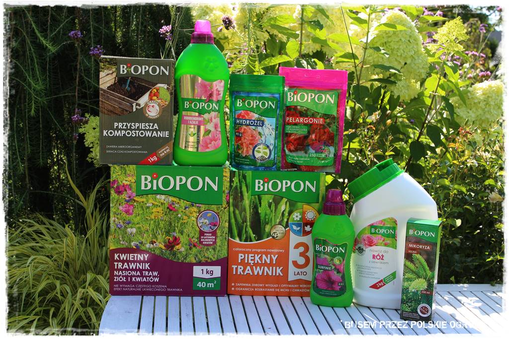 Ogród dla oszczędnych 60