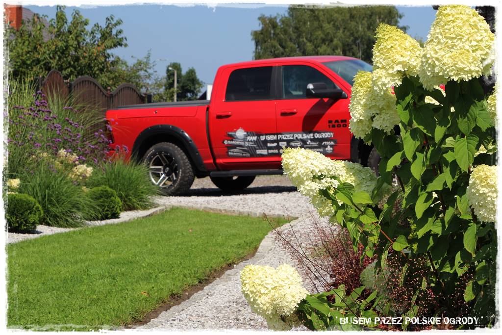 Ogród dla oszczędnych 7 Ogród dla oszczędnych 7