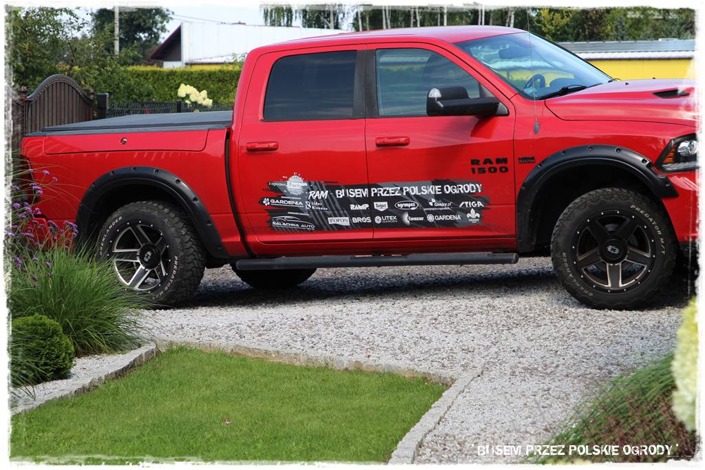 Ogród dla oszczędnych 9 Ogród dla oszczędnych 9