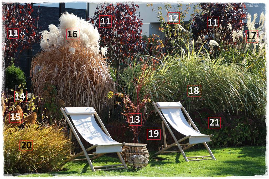 Wąska rabata wzdłuż ogrodzenia 11