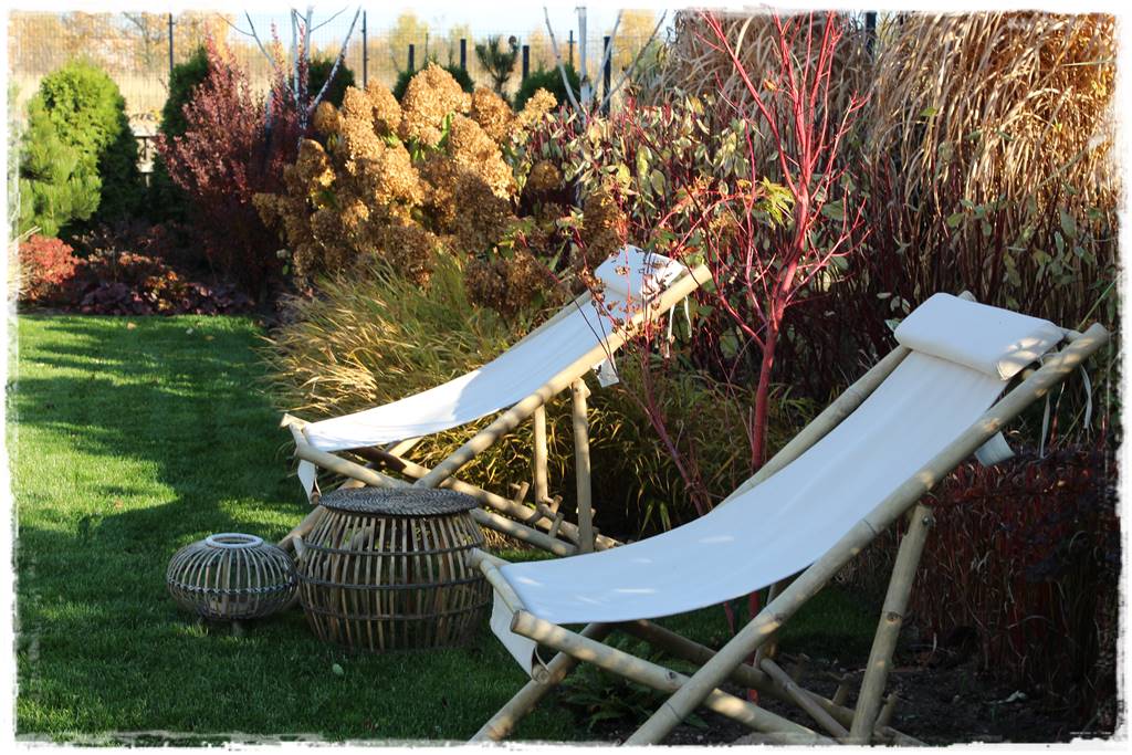 Wąska rabata wzdłuż ogrodzenia 14