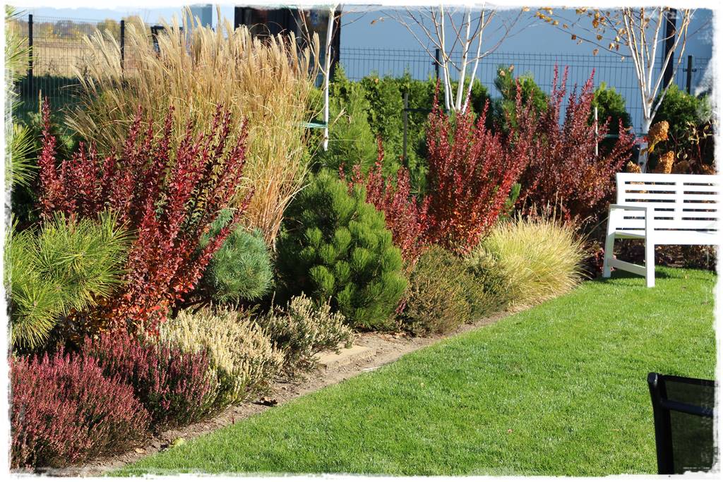 Wąska rabata wzdłuż ogrodzenia 3