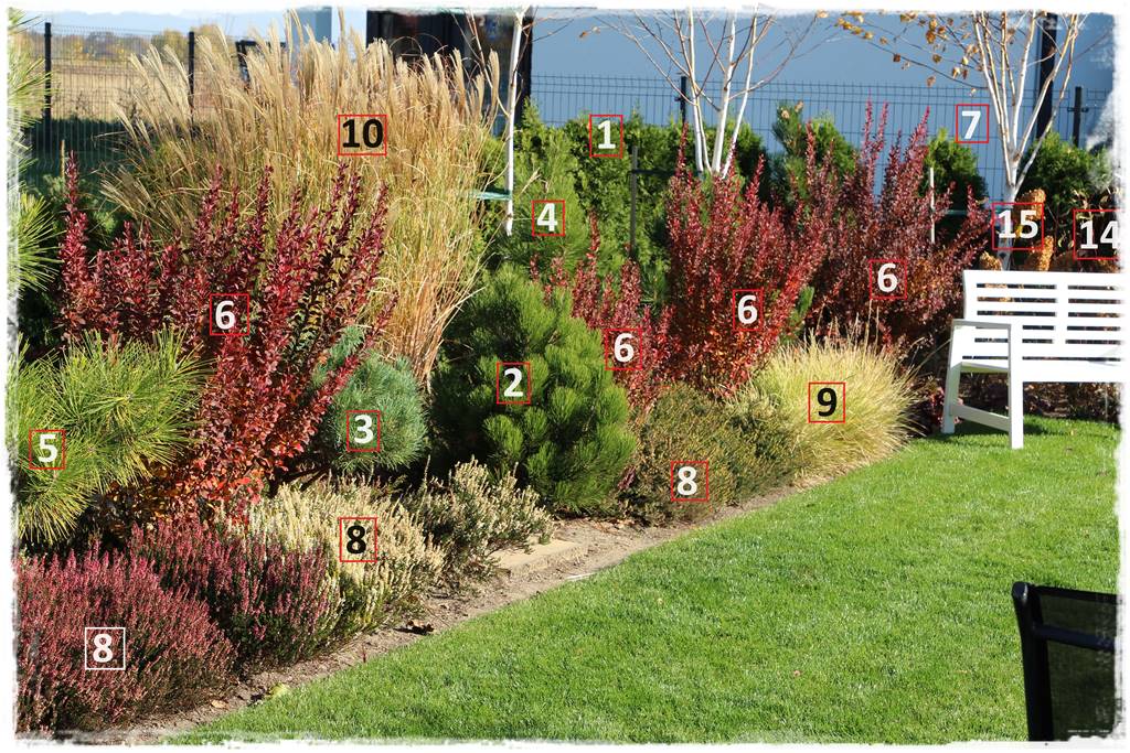 Wąska rabata wzdłuż ogrodzenia 4