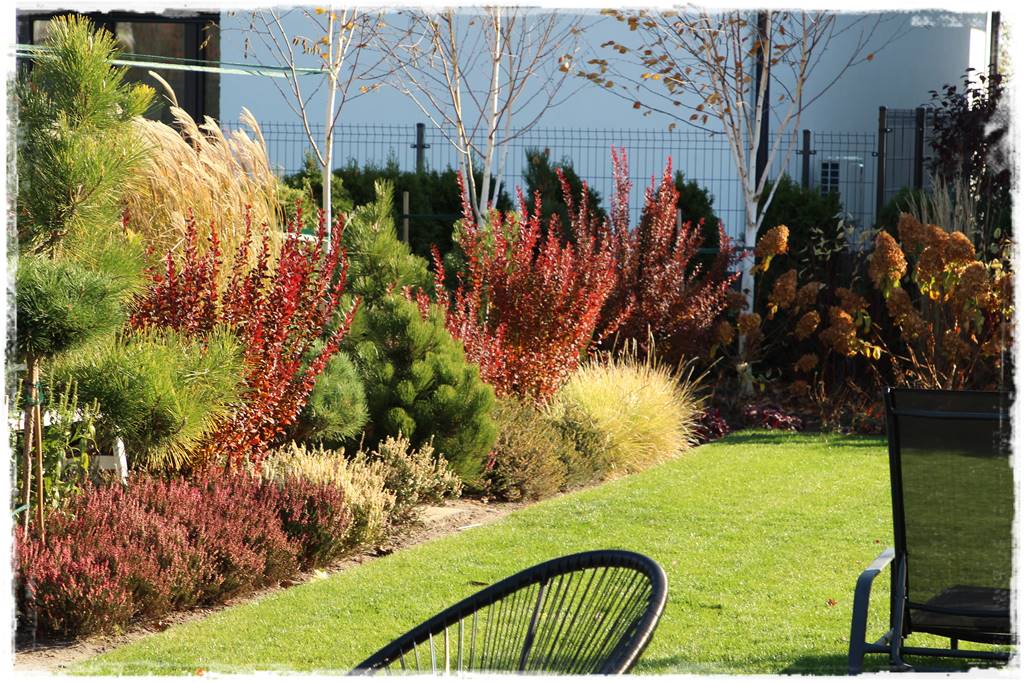 Wąska rabata wzdłuż ogrodzenia 6