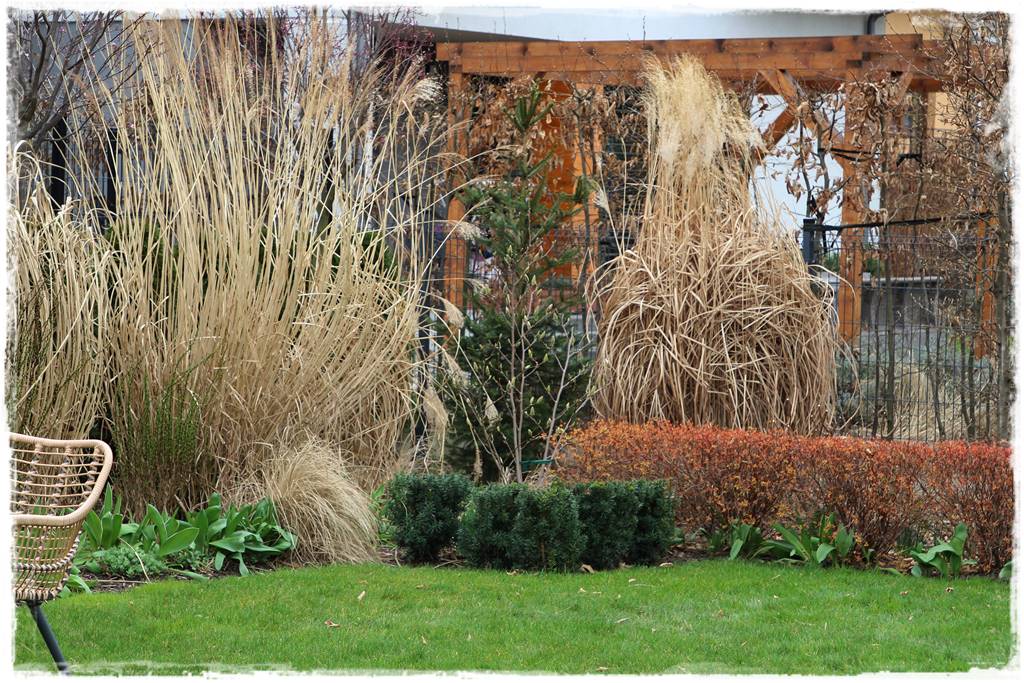 Wąska rabata wzdłuż ogrodzenia 8