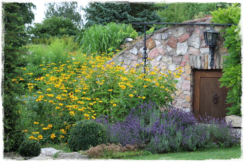 Ziemianka ogrodowa 102 Ziemianka ogrodowa 102