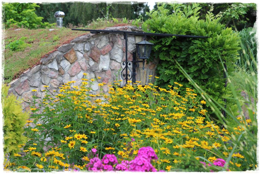 Ziemianka ogrodowa 106