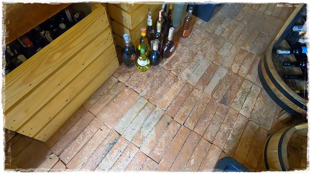 Ziemianka ogrodowa 204 Ziemianka ogrodowa 204