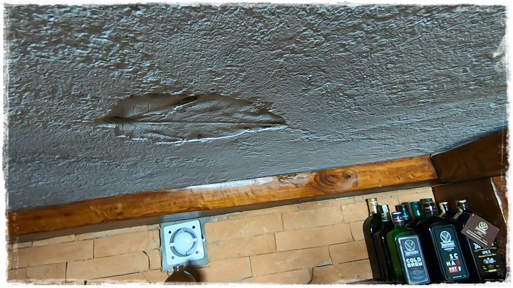 Ziemianka ogrodowa 206