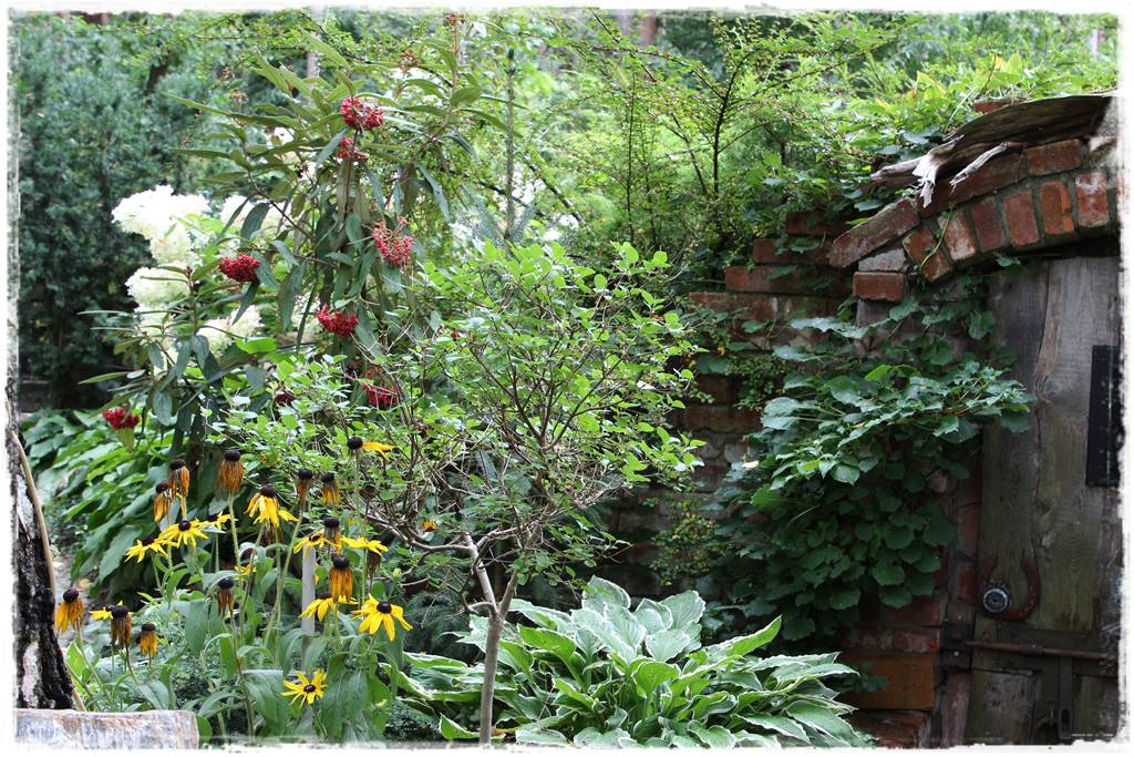 Ziemianka ogrodowa 406 Ziemianka ogrodowa 406