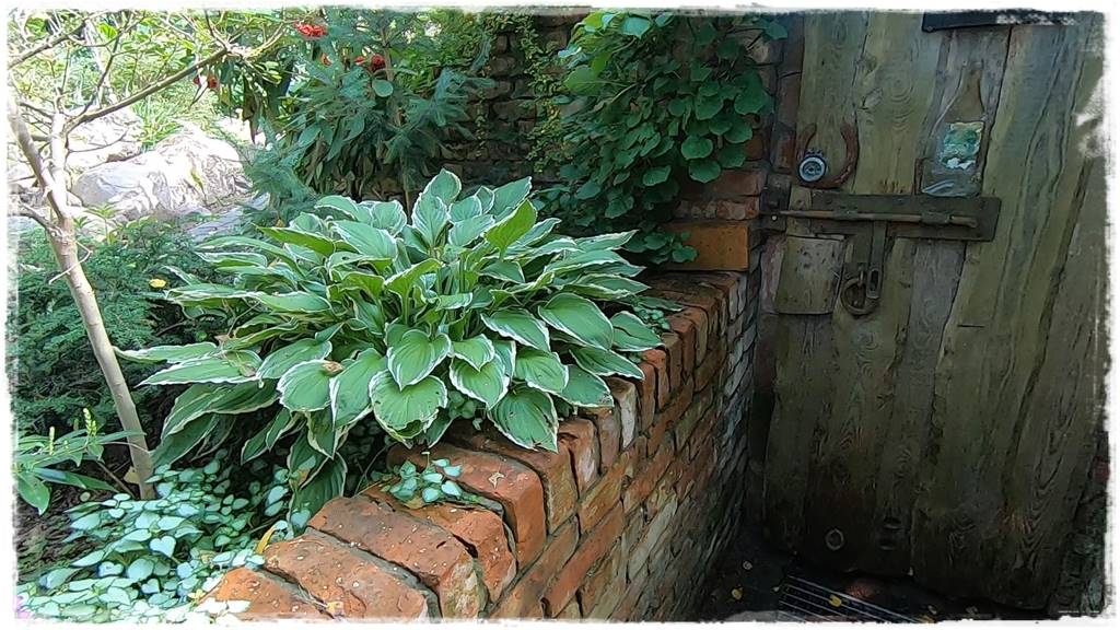 Ziemianka ogrodowa 407 Ziemianka ogrodowa 407