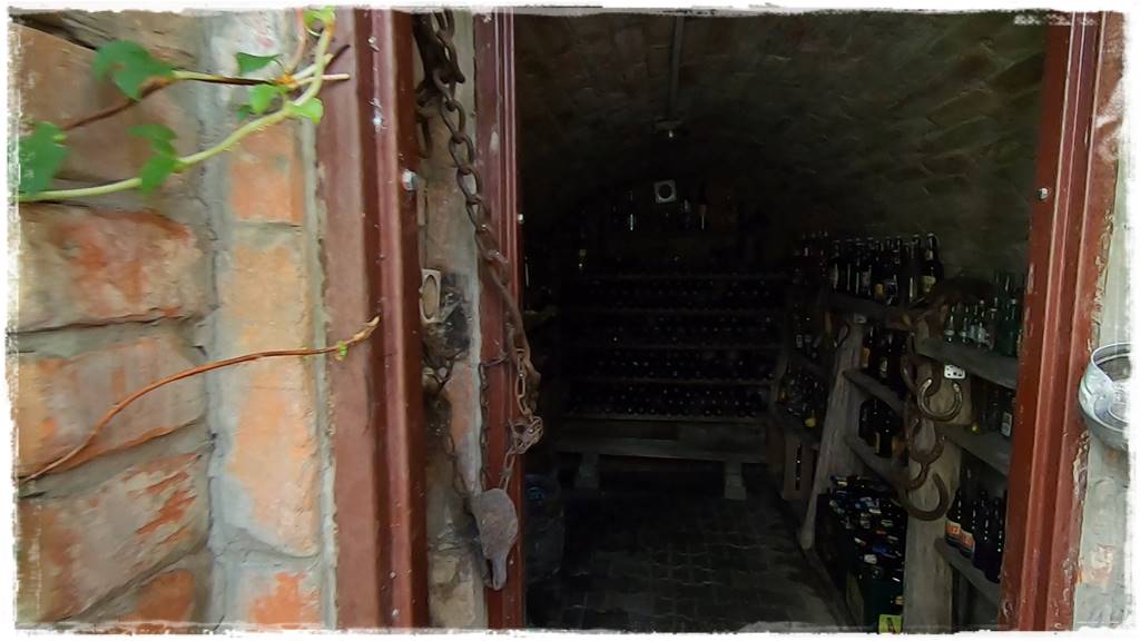 Ziemianka ogrodowa 408 Ziemianka ogrodowa 408