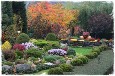 ogród przed domem na wsi 1