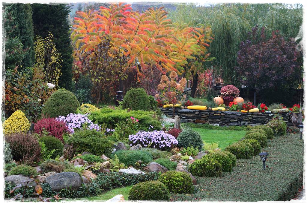 ogród przed domem na wsi 1