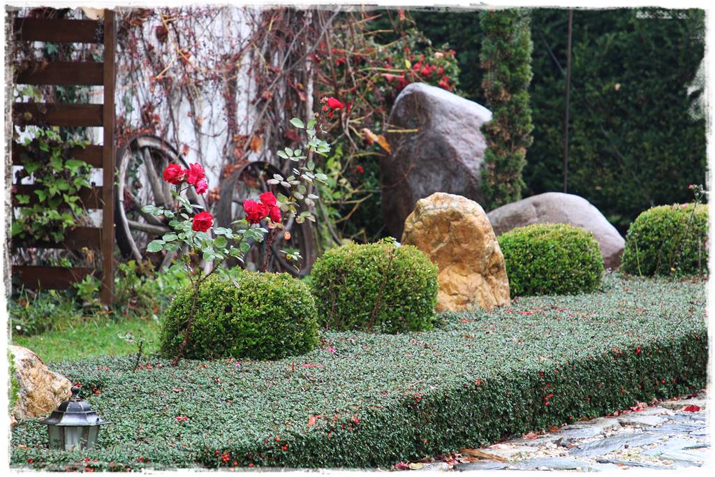 ogród przed domem na wsi 11 ogród przed domem na wsi 11