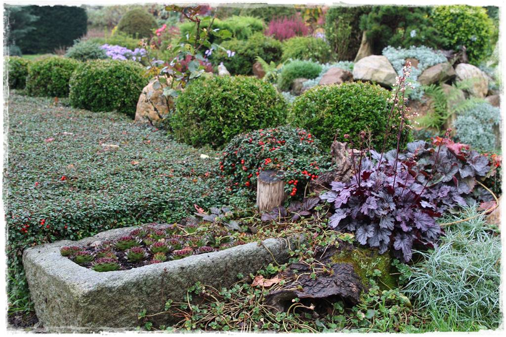 ogród przed domem na wsi 15 ogród przed domem na wsi 15