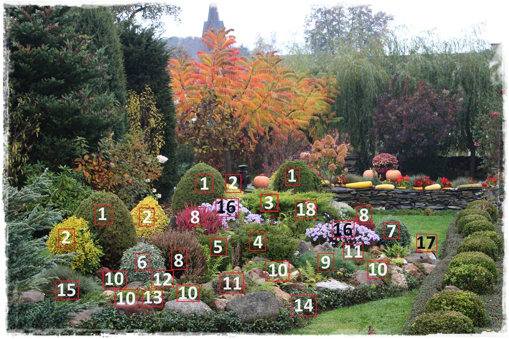 ogród przed domem na wsi 3b ogród przed domem na wsi 3b