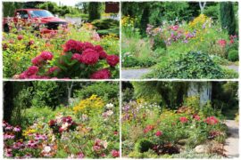 rabata przed domem w słońcu 1