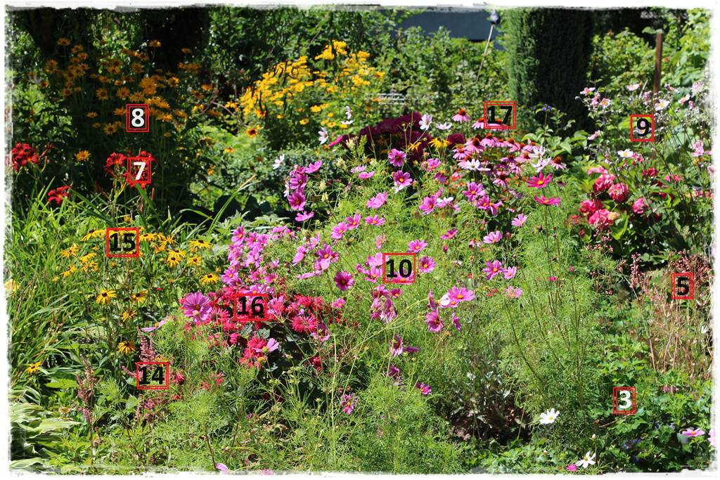 rabata przed domem w słońcu 10