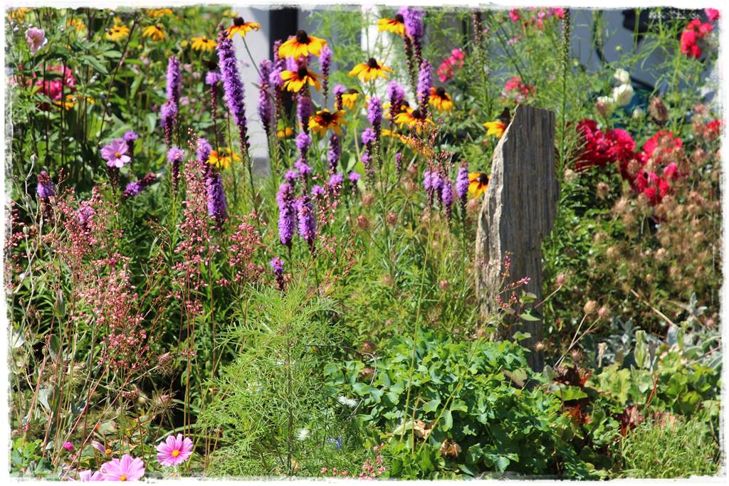 rabata przed domem w słońcu 11