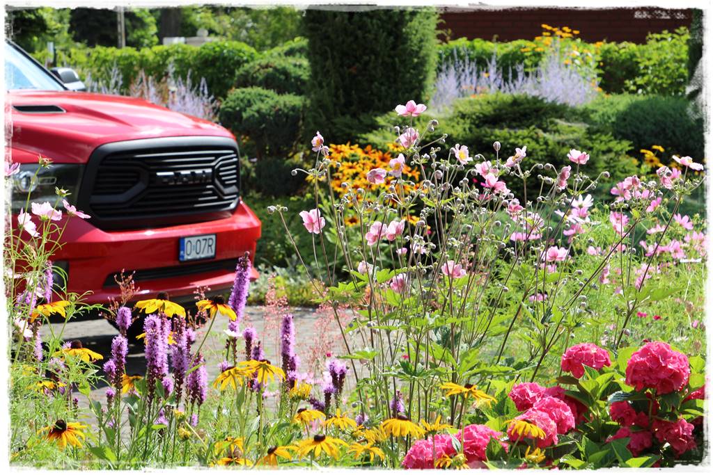 rabata przed domem w słońcu 13