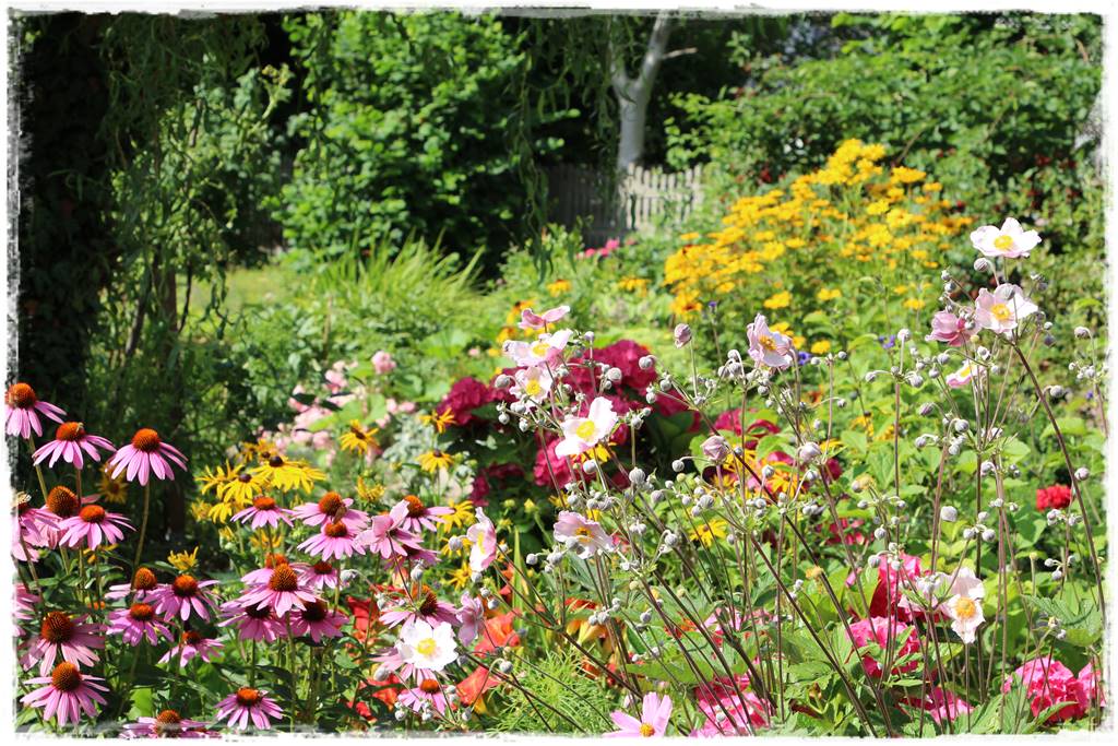 rabata przed domem w słońcu 14