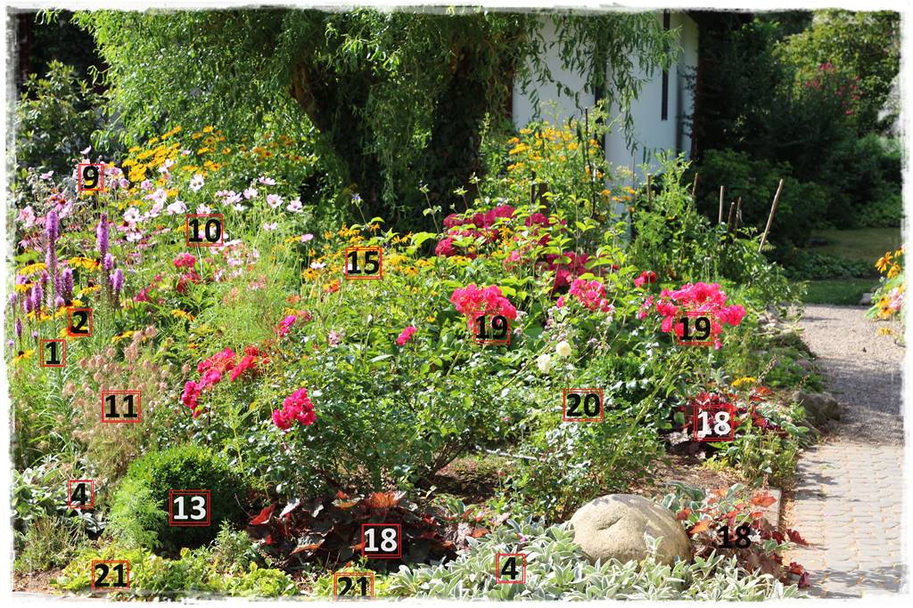 rabata przed domem w słońcu 17