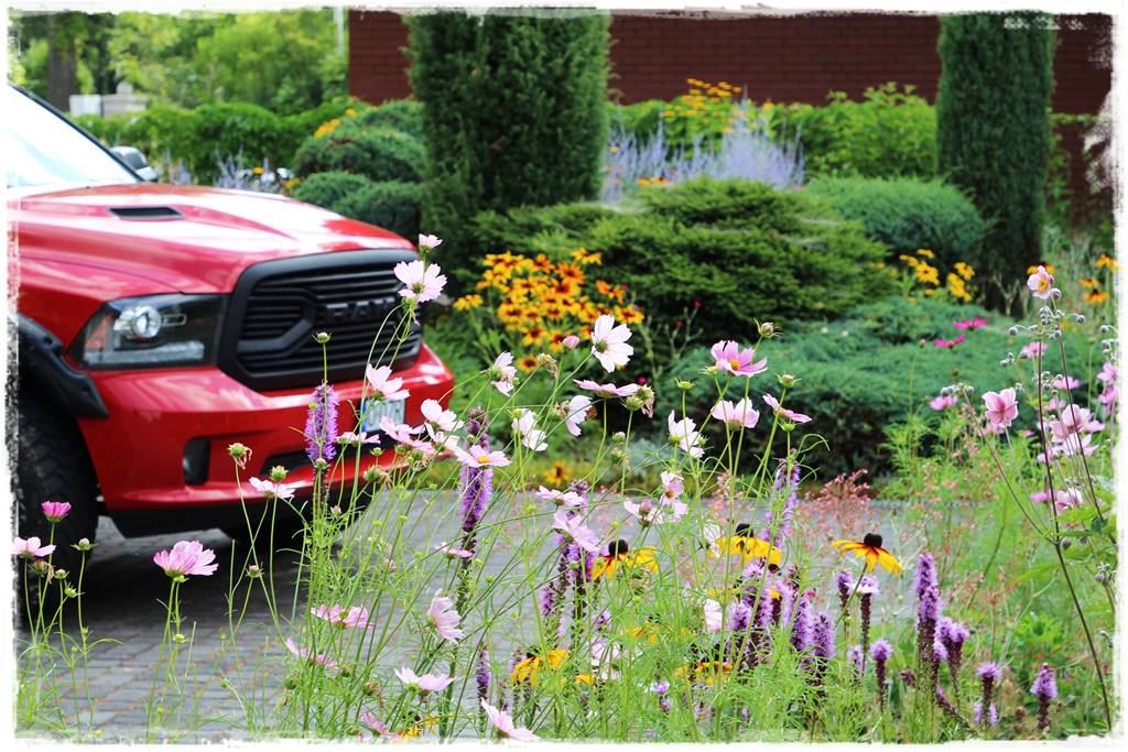 rabata przed domem w słońcu 20