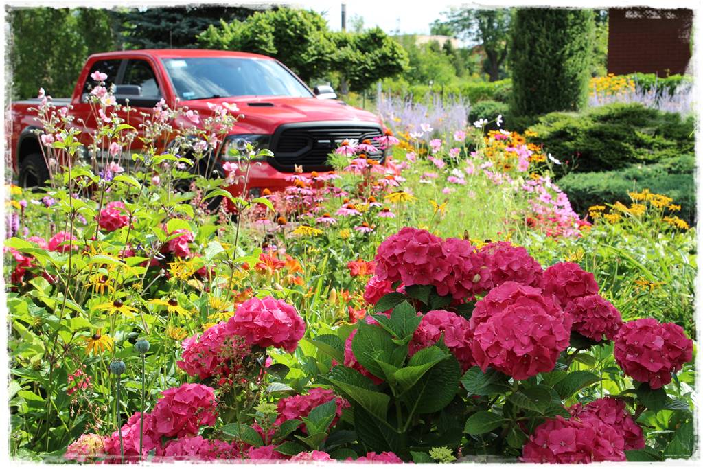 rabata przed domem w słońcu 22