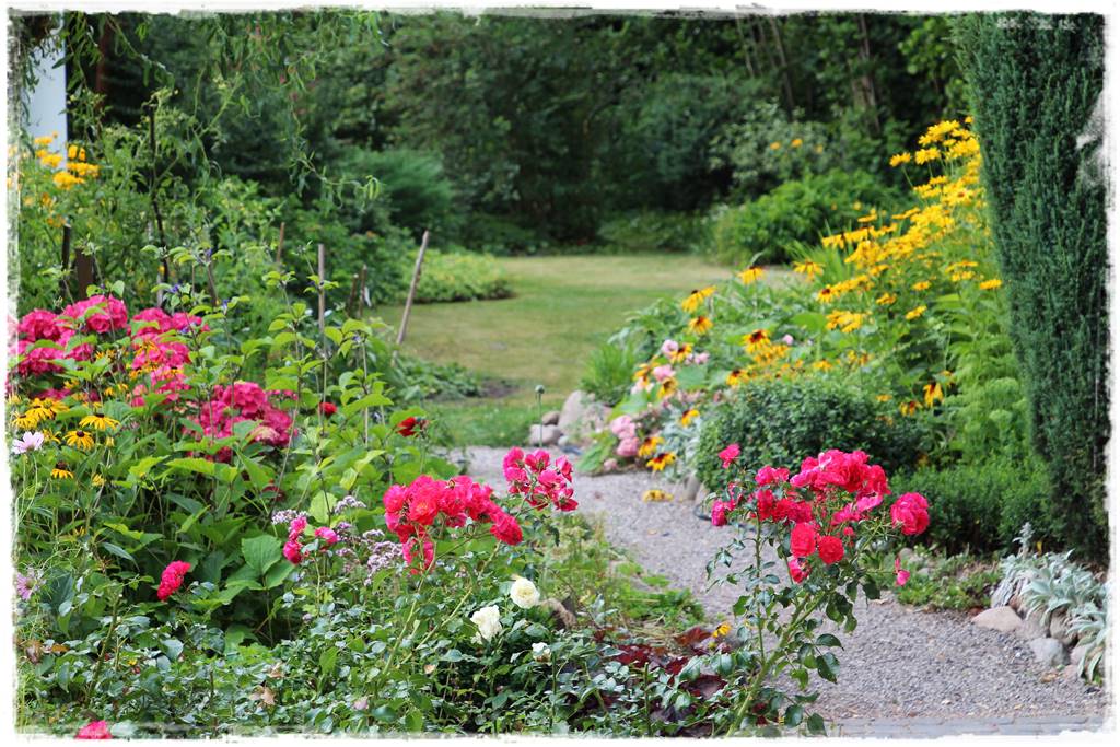 rabata przed domem w słońcu 23