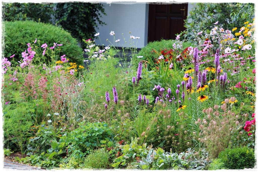 rabata przed domem w słońcu 4