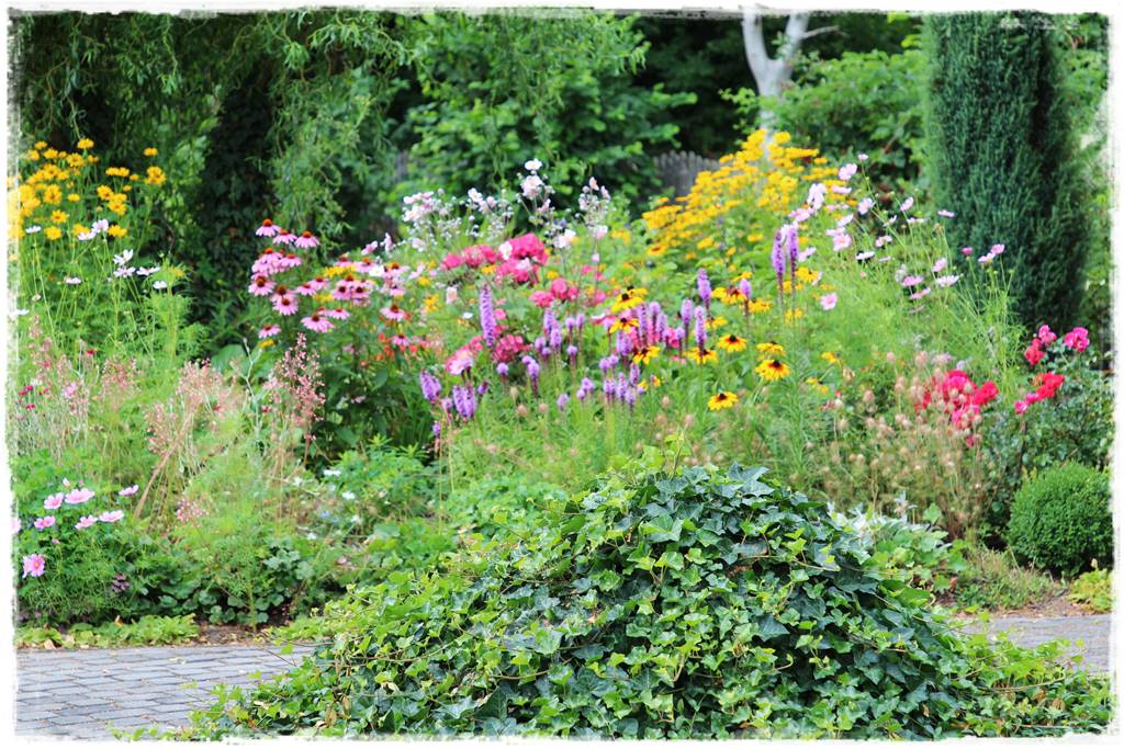 rabata przed domem w słońcu 5