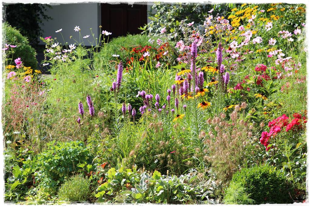 rabata przed domem w słońcu 7