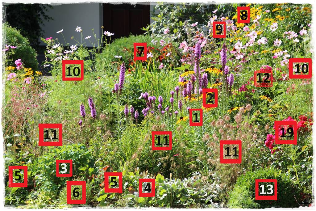 rabata przed domem w słońcu 8