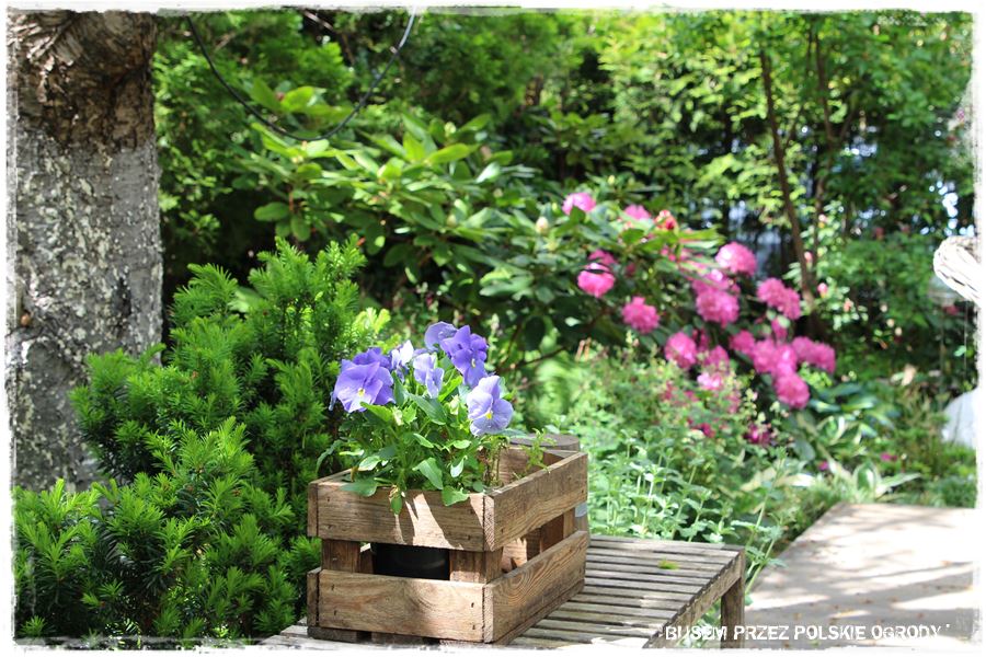 tarasy aranżacje 16 tarasy aranżacje 16