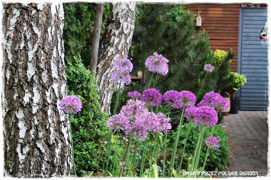 tarasy aranżacje 21 tarasy aranżacje 21
