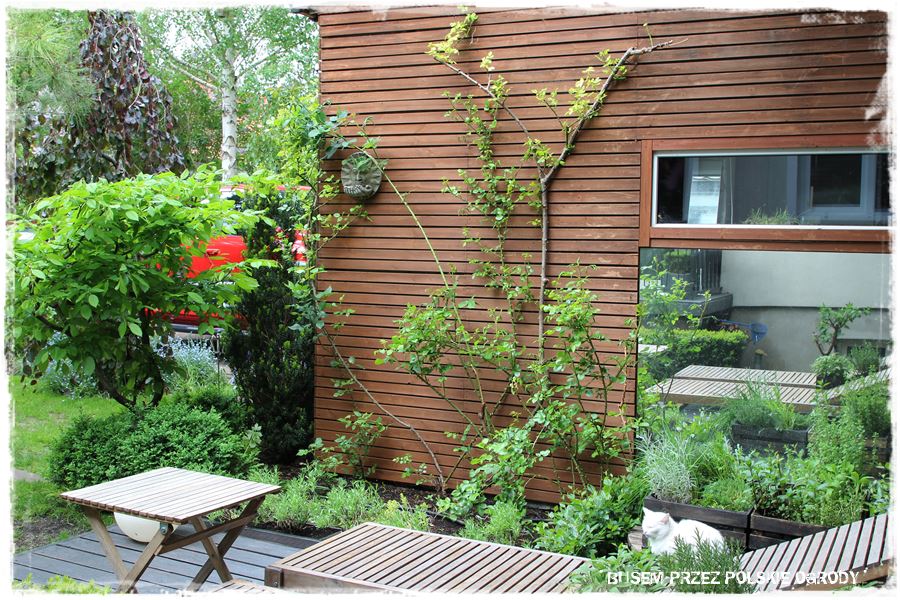 tarasy aranżacje 23