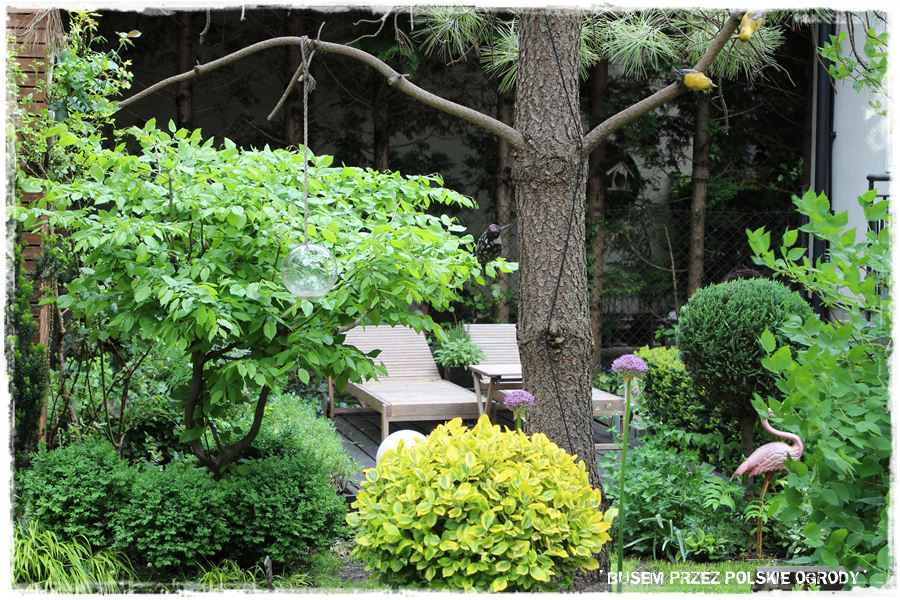 tarasy aranżacje 24a tarasy aranżacje 24a